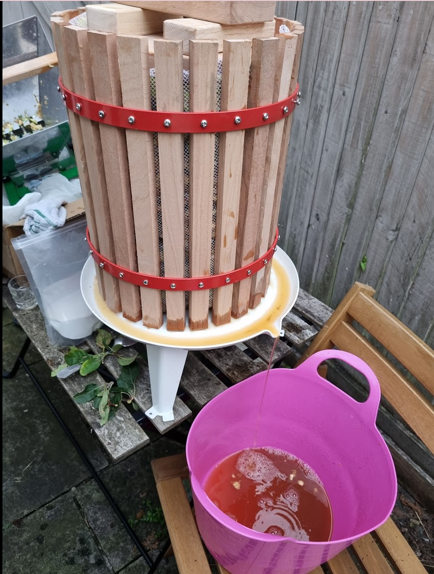 fruit press pissing apple juice