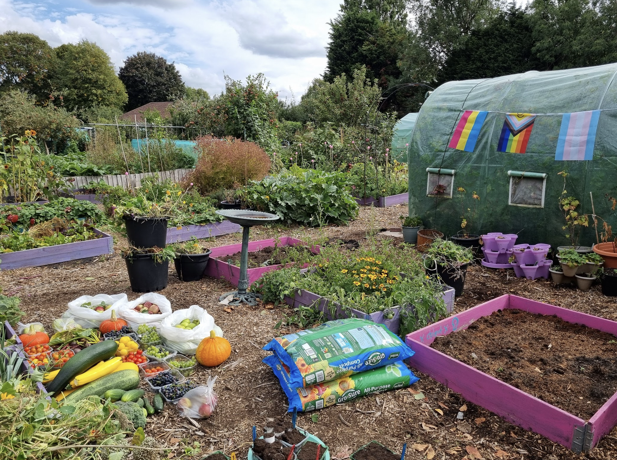 another picture of the plot